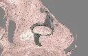 Steering Wheel pump Holder CAD 2.webp